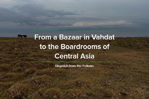 Dispatch from the Fellows: From a Bazaar in Vahdat to the Boardrooms of Central Asia