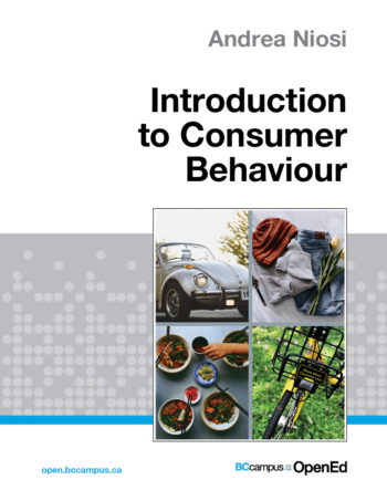 Cover of Introduction to Consumer Behaviour by Andrea Niosi