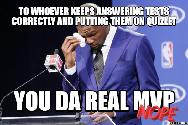 Meme says: To whoever keeps answering tests correctly and putting them on quizlet, you da real hero.... NOPE