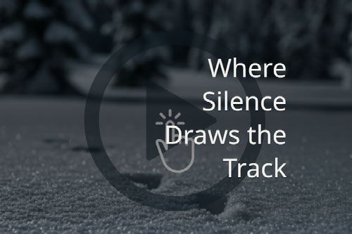 Where Silence Draws the Track
