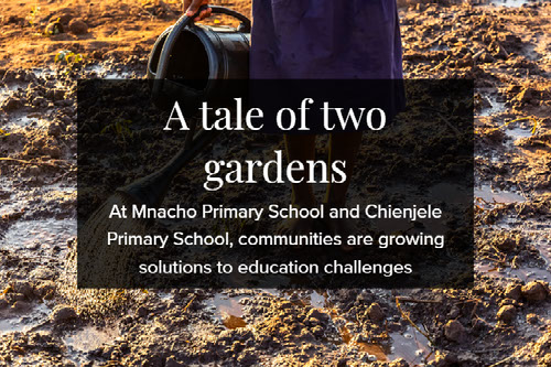 A tale of two gardens in Tanzania