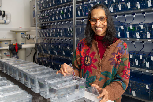 Lalita Ramakrishnan