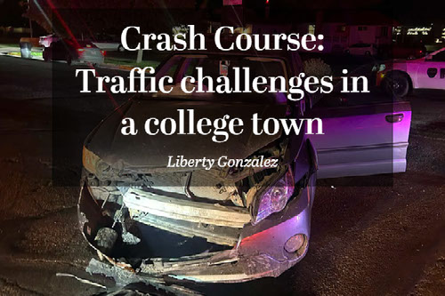 Liberty Gonzalez Senior Project Crash Course
