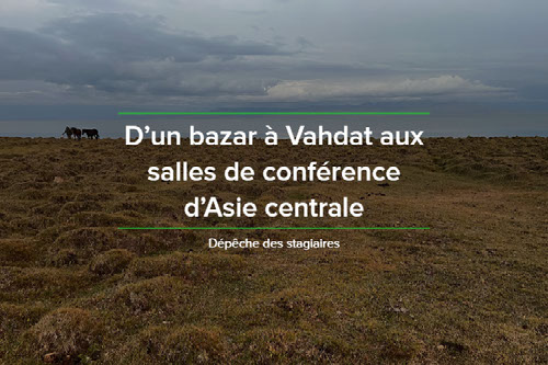 Dépêche des stagiaires : d’un bazar à Vahdat aux salles de conférence d’Asie centrale 