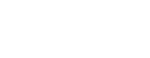 Curry College Logo