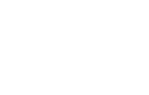 DSX logo "DSX" lower case