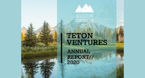 2020 Annual Report - Silicon Couloir