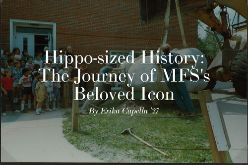history of the hippo