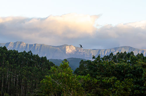 Turismo Pedagógico da Acolhida na Colônia