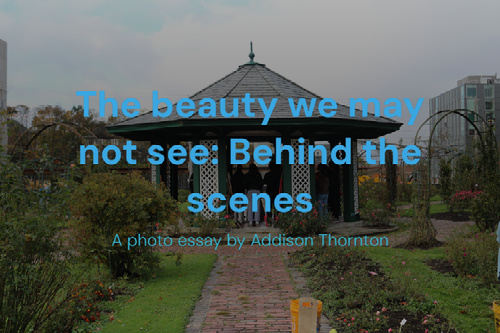 Storytelling project- EST 245