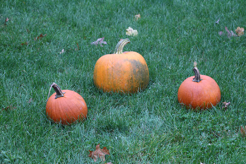 Untitled - October 27, 2023 at 10.07.21