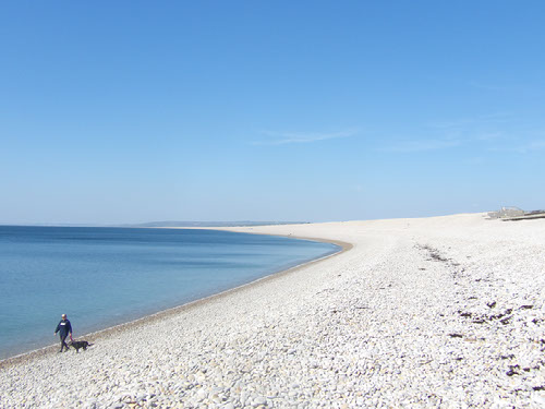 Portland Photo Gallery