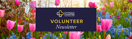 Volunteer Appreciation Newsletter