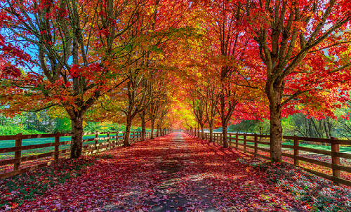 October at Mason Recreation