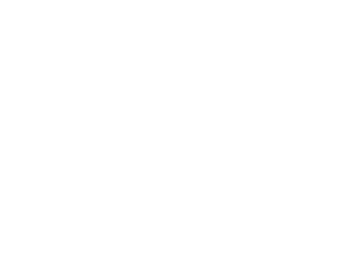 Caregiver Action Network's Logo