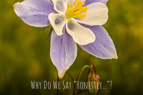 Why Do We Say “Honestly”?