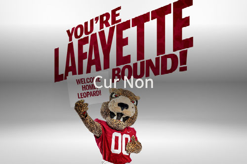 Cur Non Vol 9 Issue 3