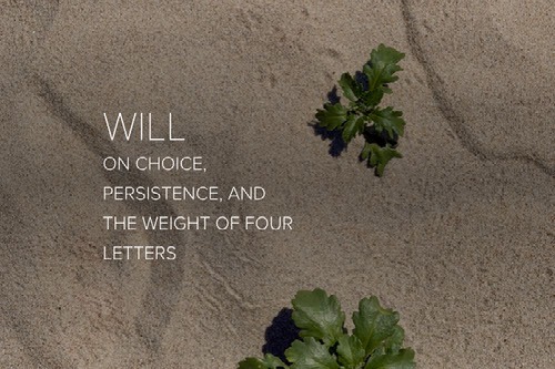 WILL - on choice, persistence, and the weight of four letters