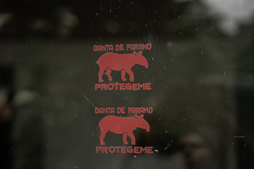 LA DANTA DE MONTAÑA, EN CAMINO A SU EXTINCIÓN