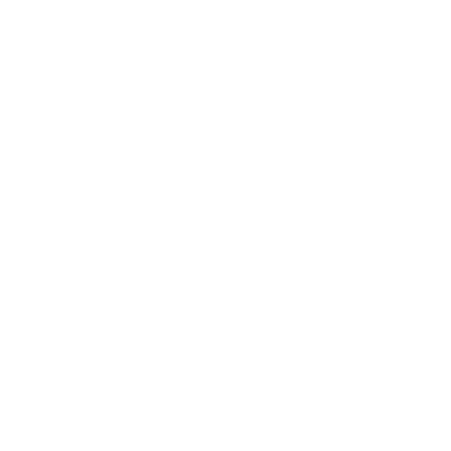 SOUTH LAKE UNION BLOCK PARTY