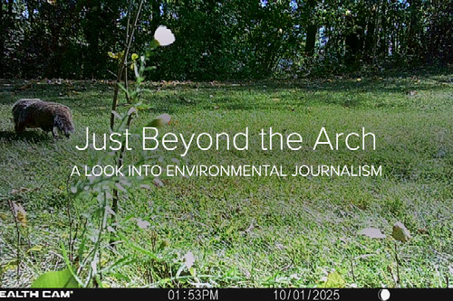 Touching Grass 101 - A look into environmental journalism