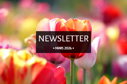 NEWSLETTER MARS 2026